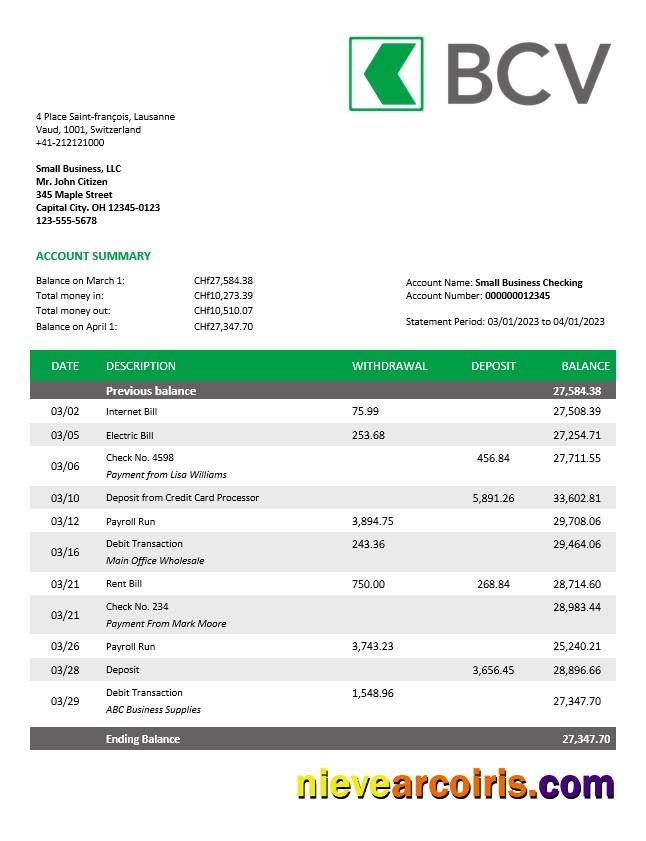 BCV Bank company account statement